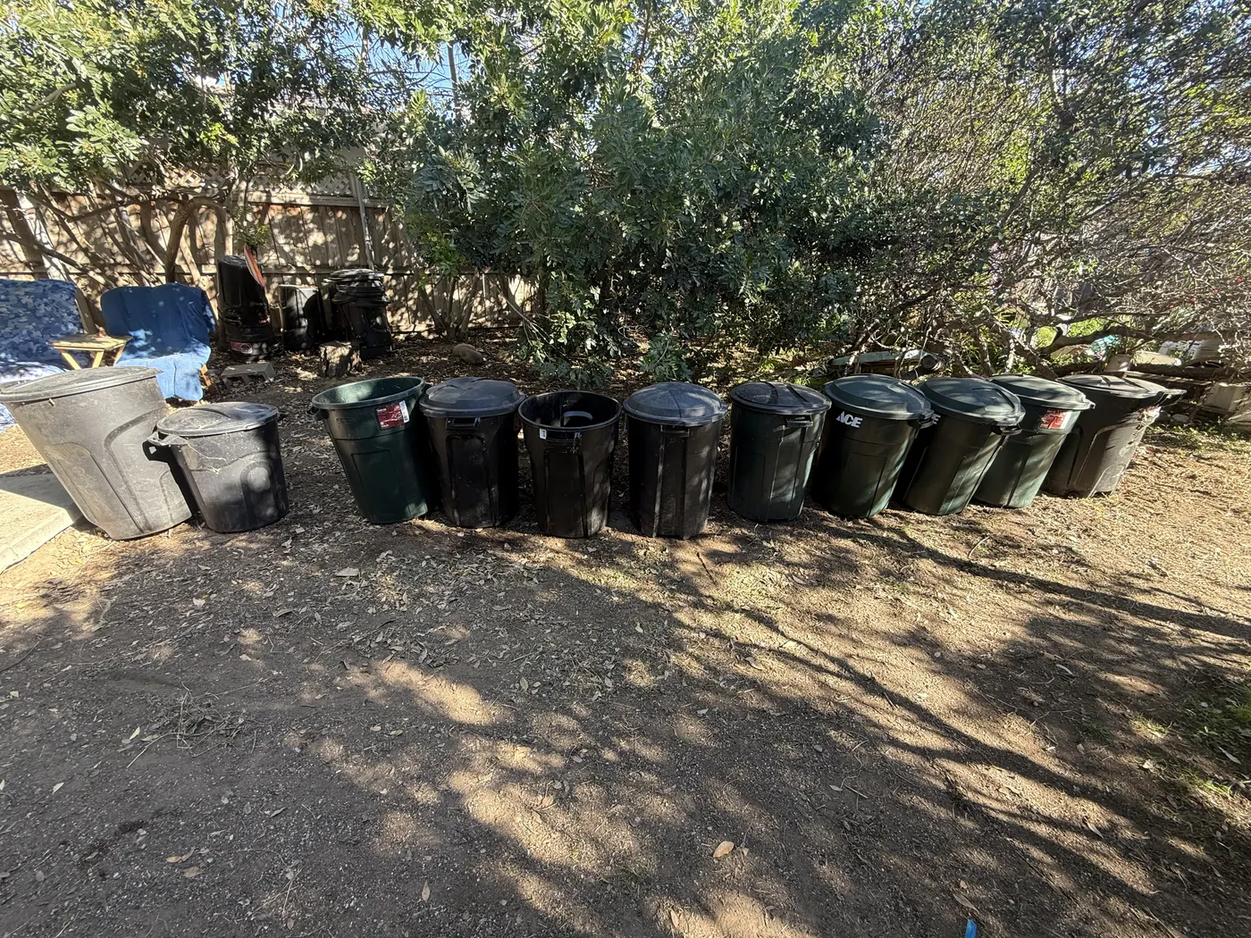 After removal: the same Phoenix yard with the junk removed and bins lined up along the fence.